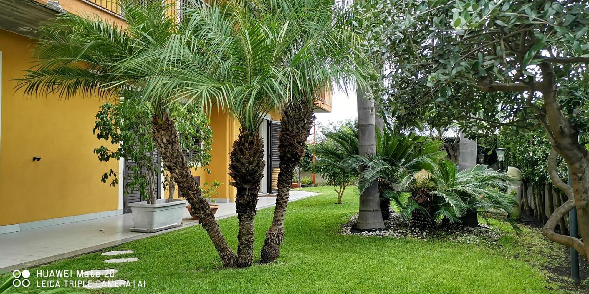 Maresole Tra L'Etna E Taormina Apartment Маскали Екстериор снимка