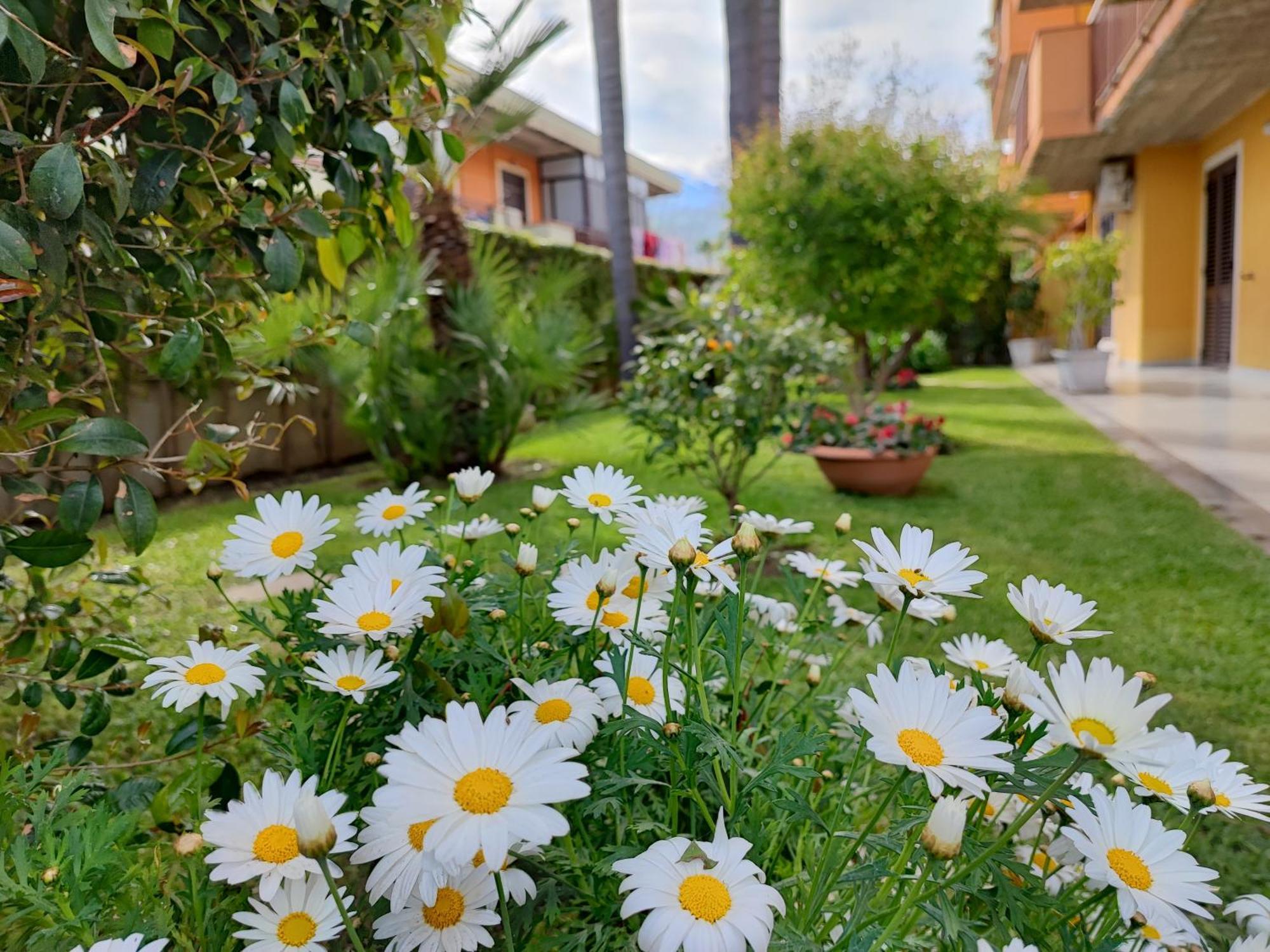 Maresole Tra L'Etna E Taormina Apartment Маскали Екстериор снимка