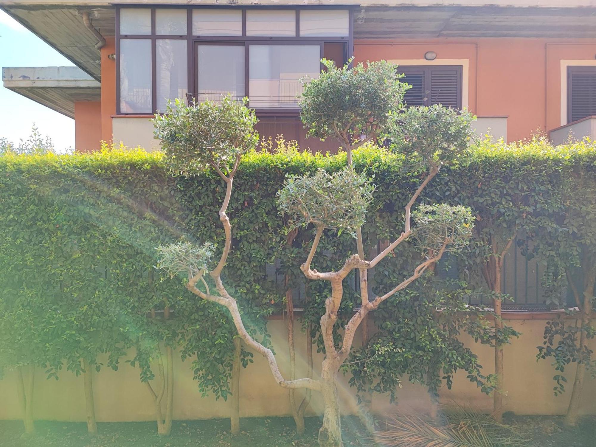 Maresole Tra L'Etna E Taormina Apartment Маскали Екстериор снимка