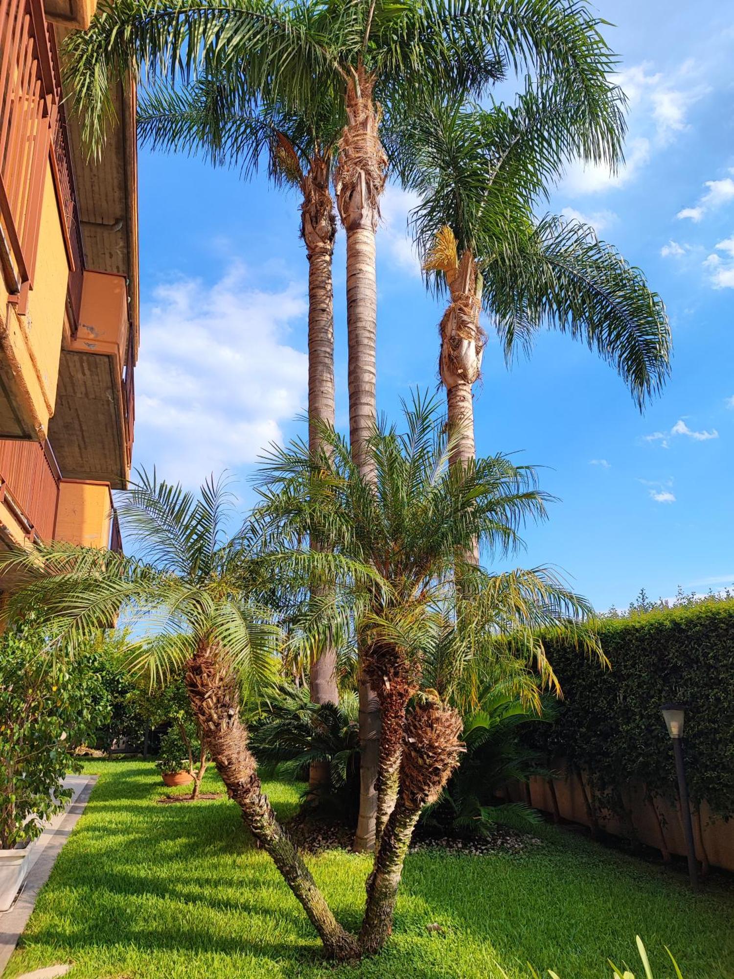 Maresole Tra L'Etna E Taormina Apartment Маскали Екстериор снимка